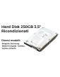 Hard Disk 250GB 3,5" Ricondizionati