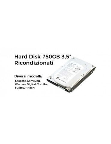 Hard Disk 750GB 3,5" Ricondizionati